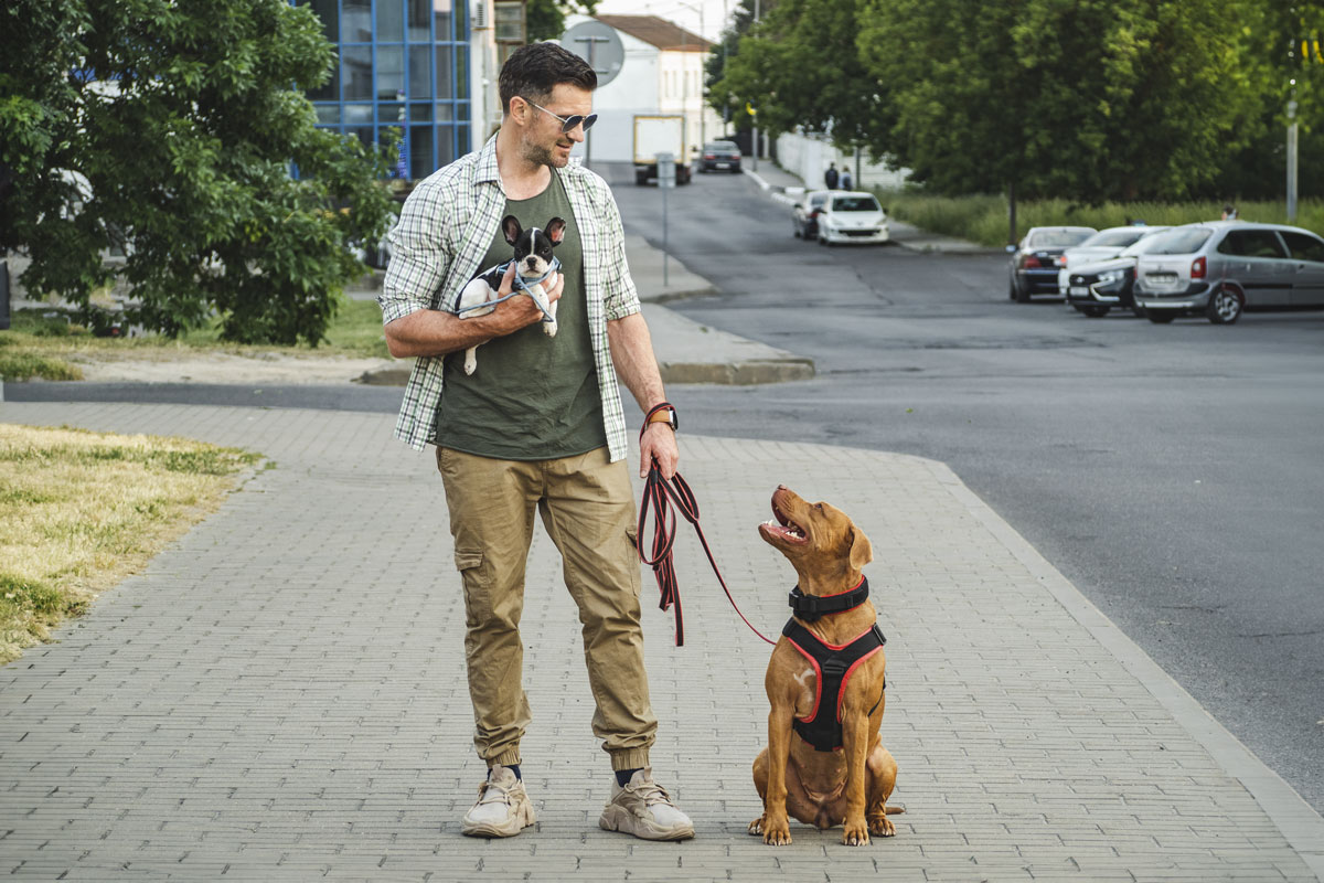 Annette_Panz_Hundetraining