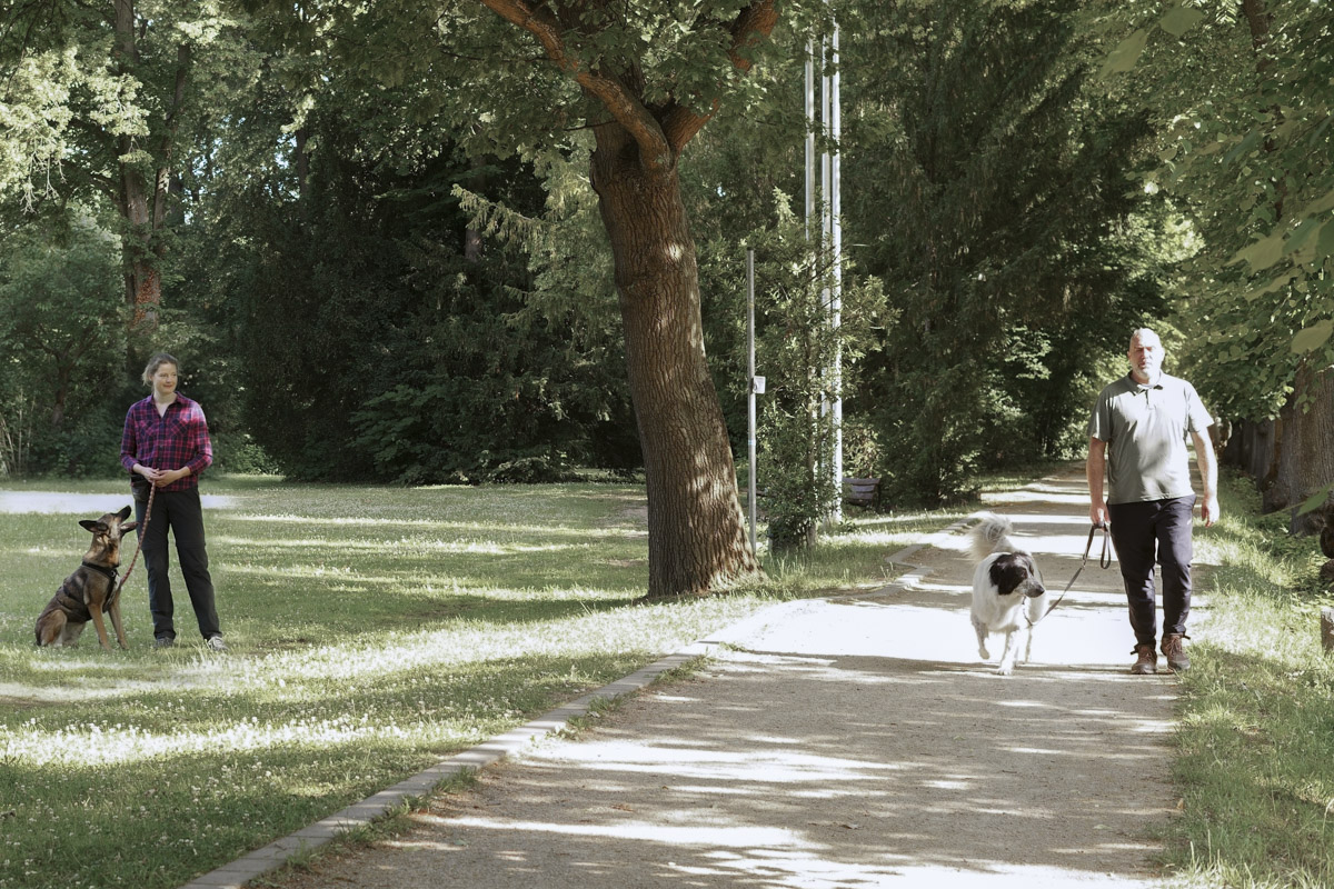 Annette Panz Hundetraining