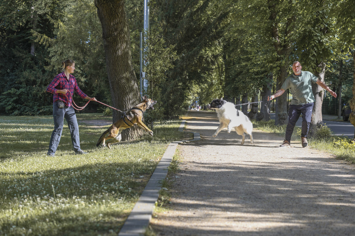 Annette Panz Hundetraining